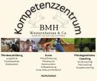 Huf-Kurs Dual-Kurs Präsenzunterricht